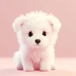 10 Fascinating Insights into Puppyhood